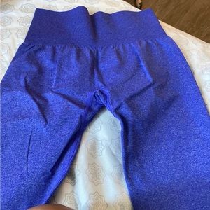 NVGTN Electric Blue NV Seamless